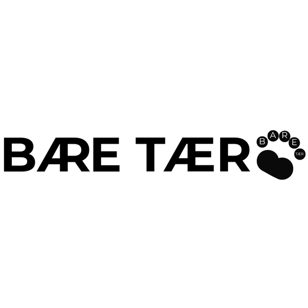 The Original BARE Bear